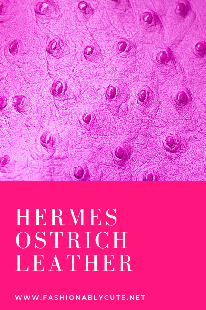 Hermes Ostrich Leather